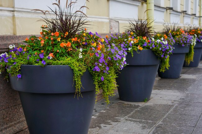 Darf man den Gehweg vor dem Haus mit Blumenkübeln verschönern?